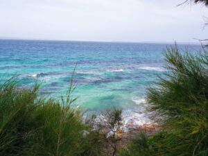 The beach near where Jaine lives