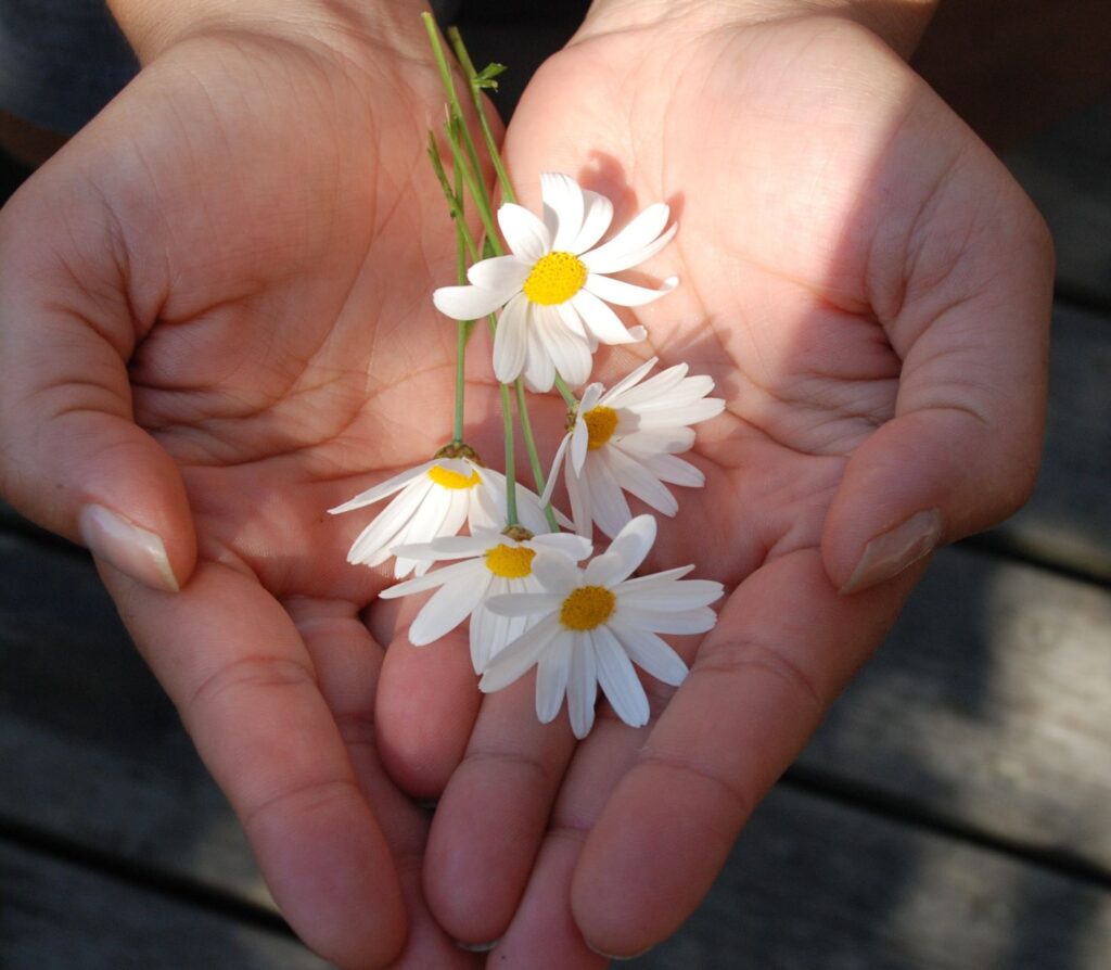 Giving and receiving in meditation teaching